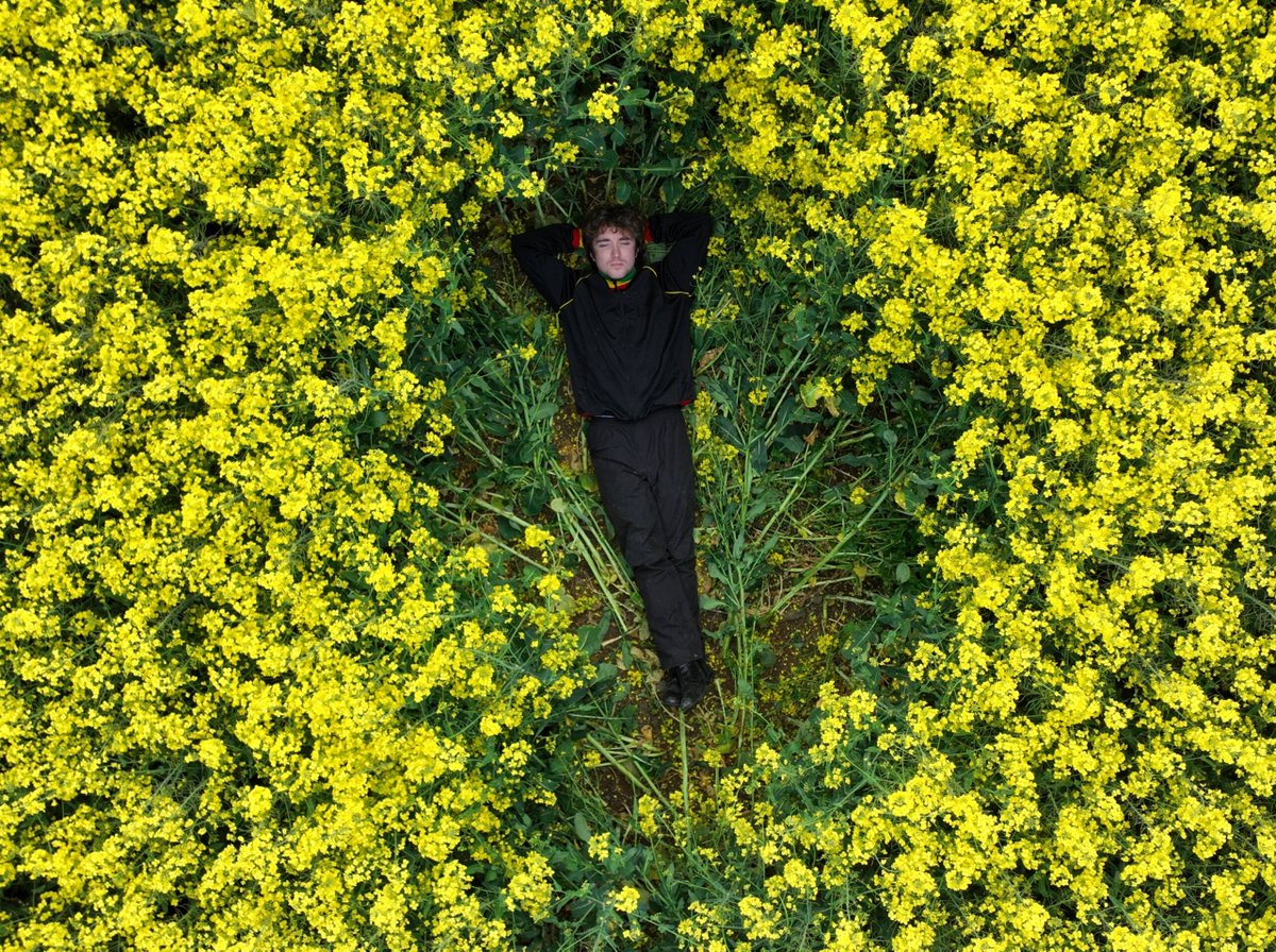 The Arts Council / An Chomhairle Ealaíon tweet media