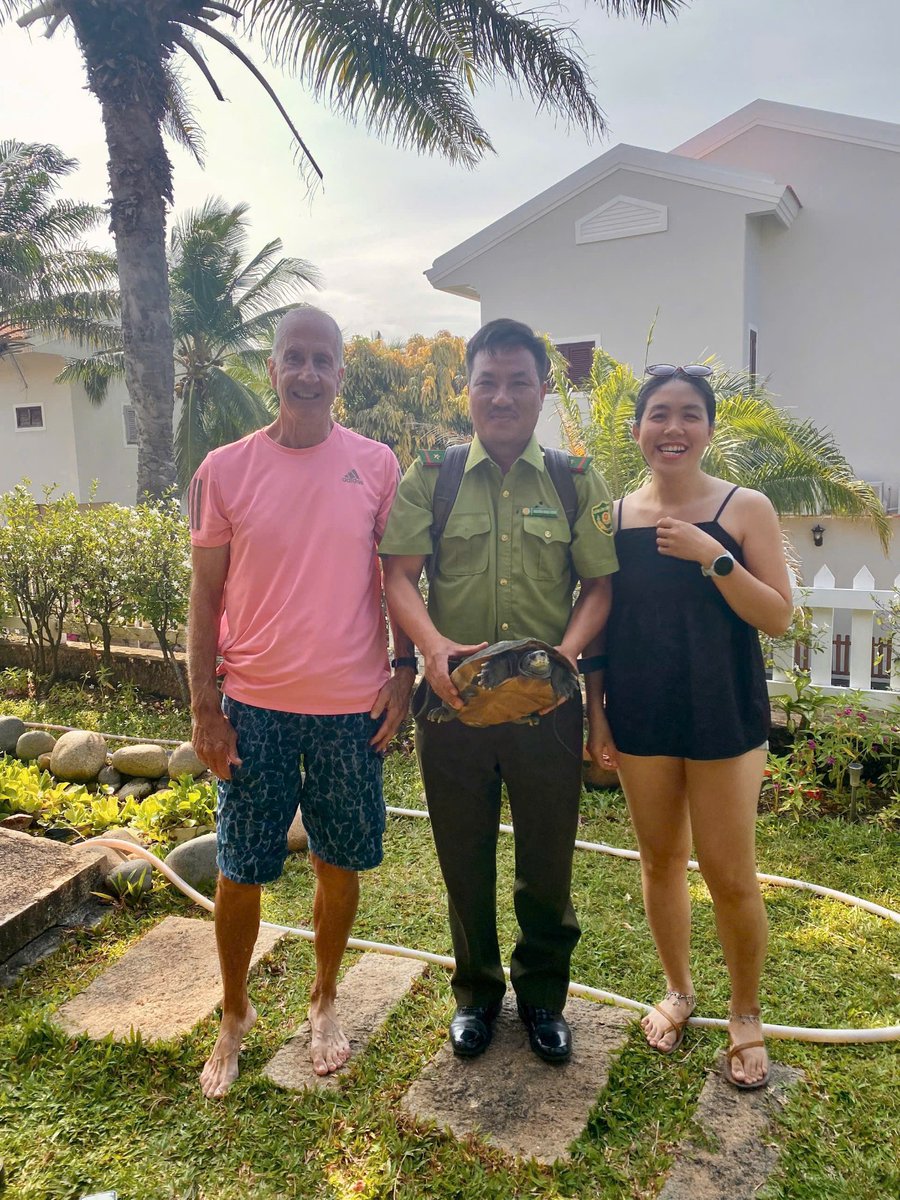 🐢 From Lam Dong back to nature!
On Mar 18, a resident reported a giant Asian pond turtle to the ENV Hotline. By Mar 19, local authorities arrived to receive the turtle based on ENV's coordination. A quick and effective handover for wildlife! 🌿
#ENV #LamDong #WildlifeProtection