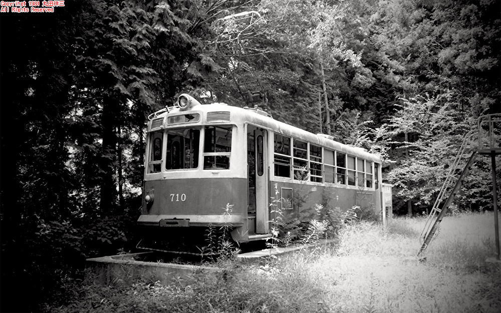 写真家 丸田祥三 tweet media