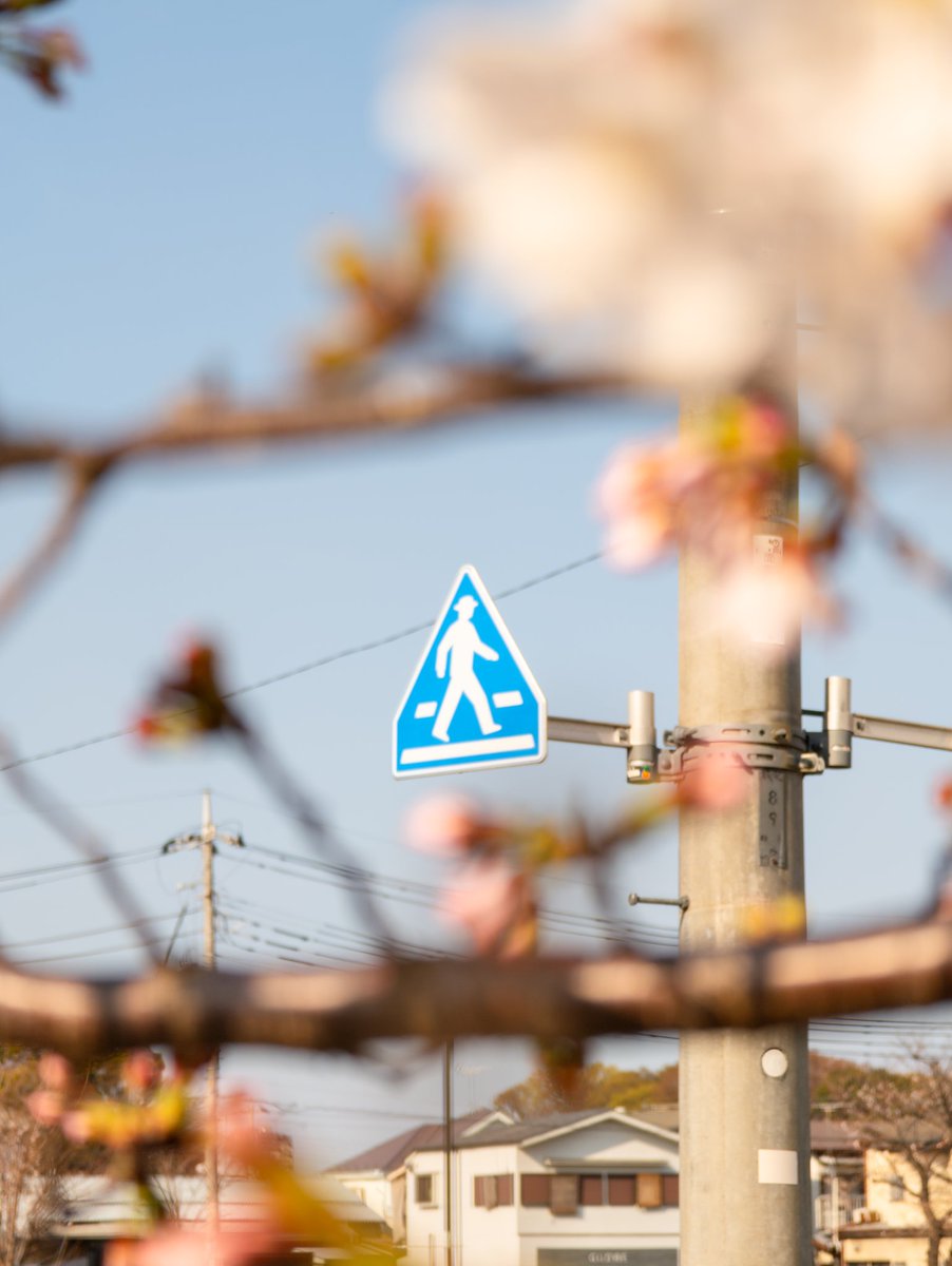 いとうり / itouri tweet media