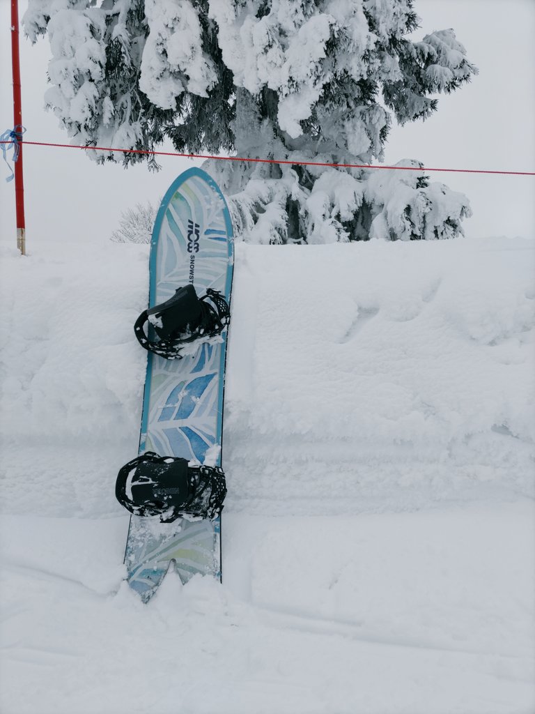 JACK IN THE BOX tweet media