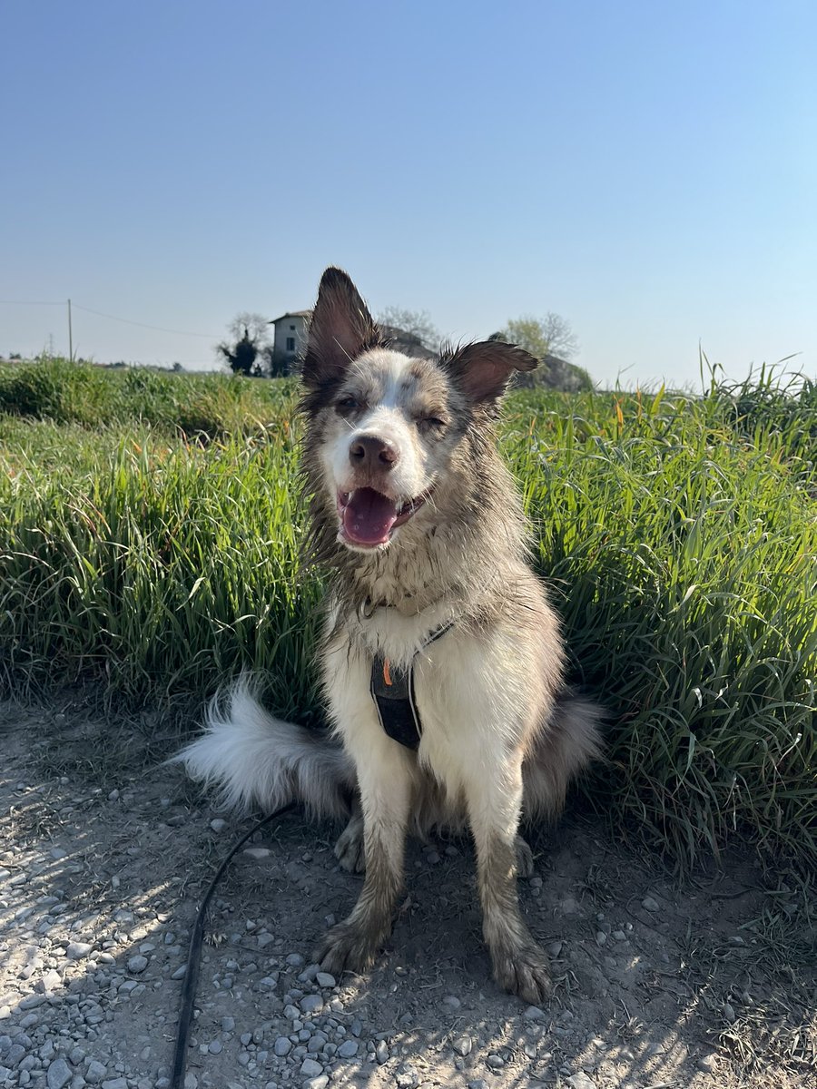 tildas🐇 tweet media