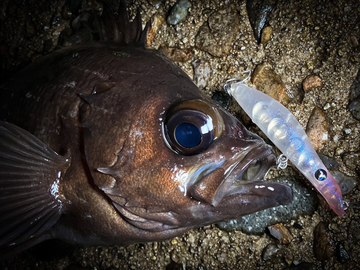 TICT（ティクト） tweet media