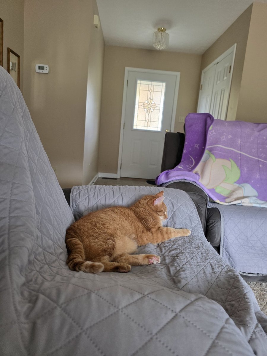 🇺🇲Ultra MAGA Trump Gal🇺🇲™ tweet media