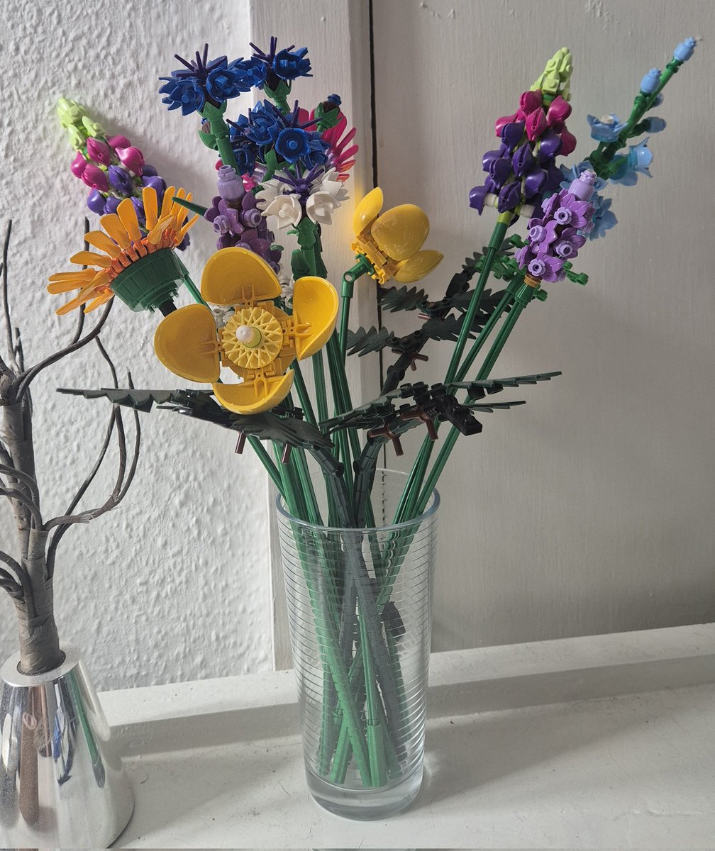 Robin Bastard tweet media