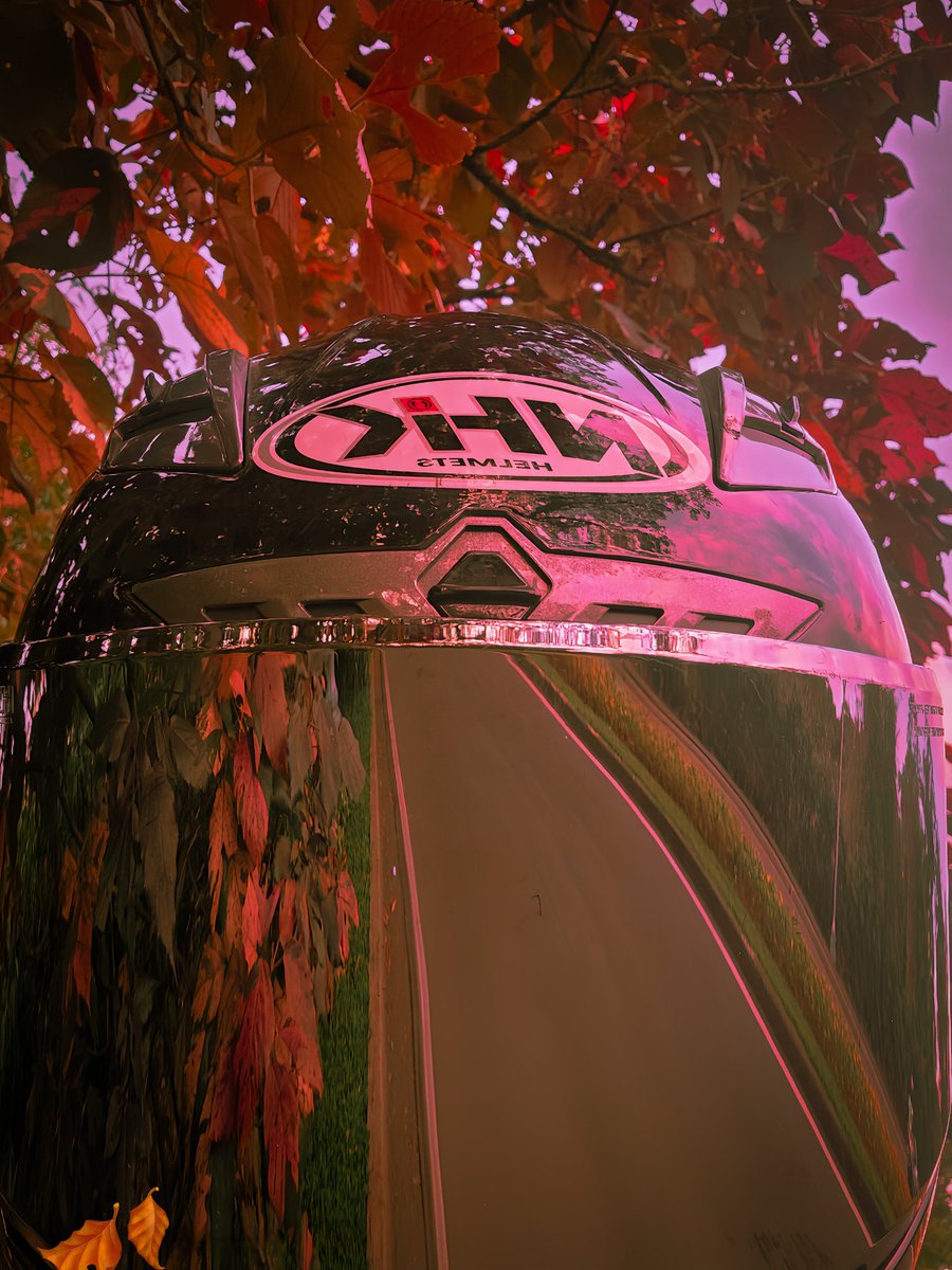 sarasvati tweet media