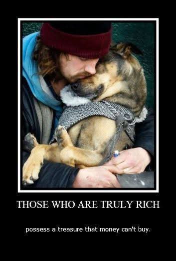 SiHarries tweet media