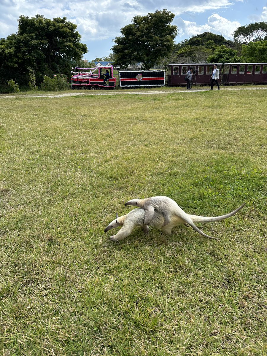 ネオパークオキナワ【公式】 tweet media