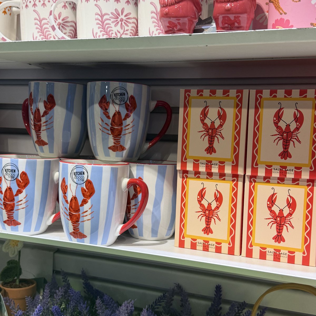 oc ❀ 🪭 (follow limit) tweet media