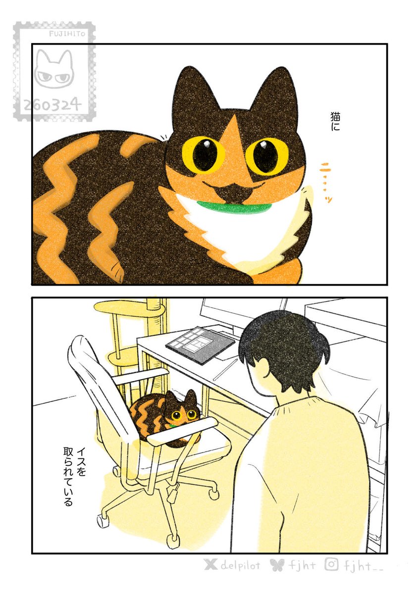 イスが好きな猫(1/2) 