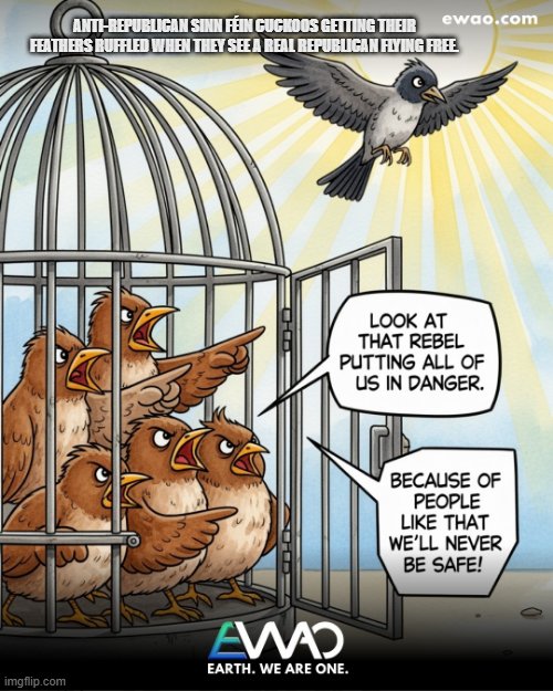 sam millar tweet media