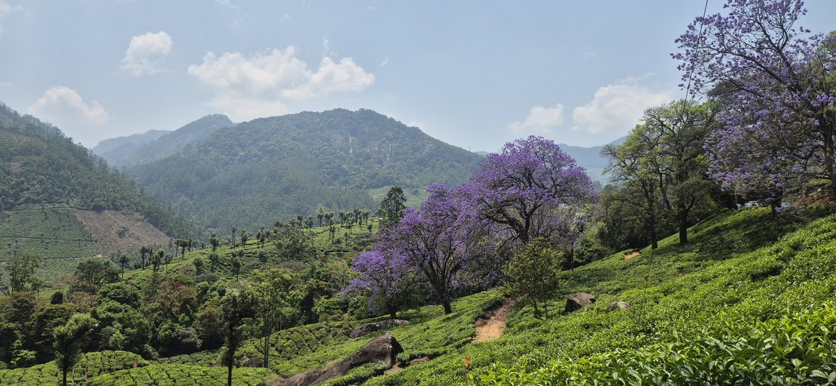 Preethy Prasanth tweet media