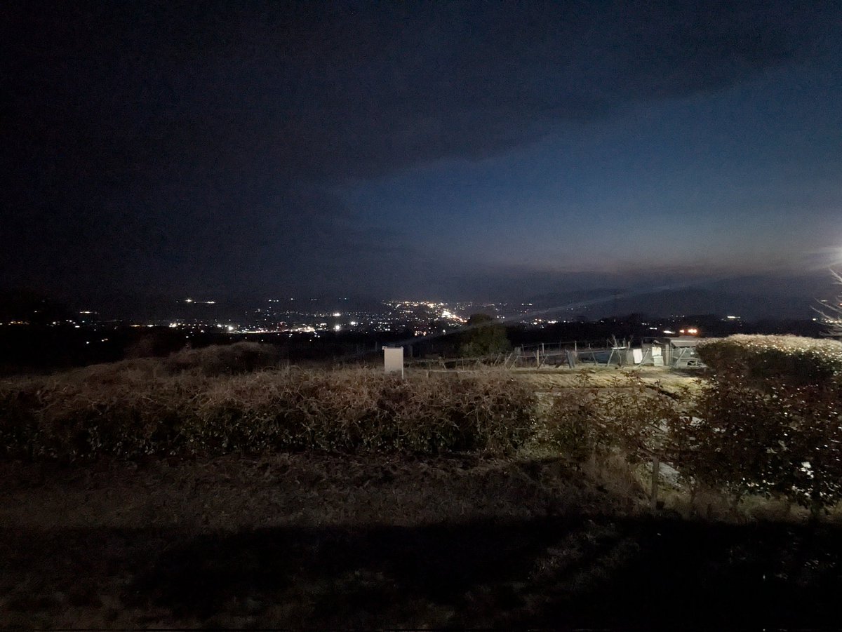 E.E.Flow♨ tweet media