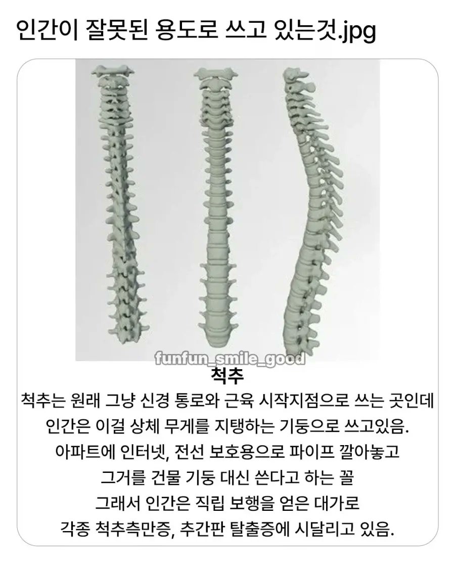 인간이 잘못된 용도로 쓰고 있는 것