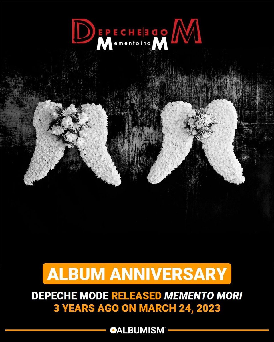 ALBUMISM tweet media