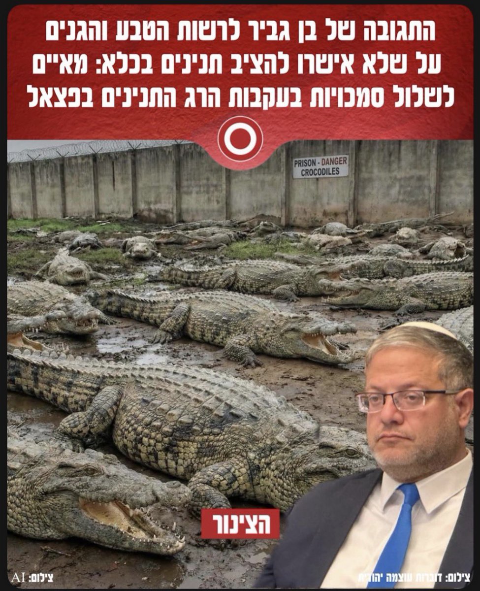 Yossi Eli tweet media