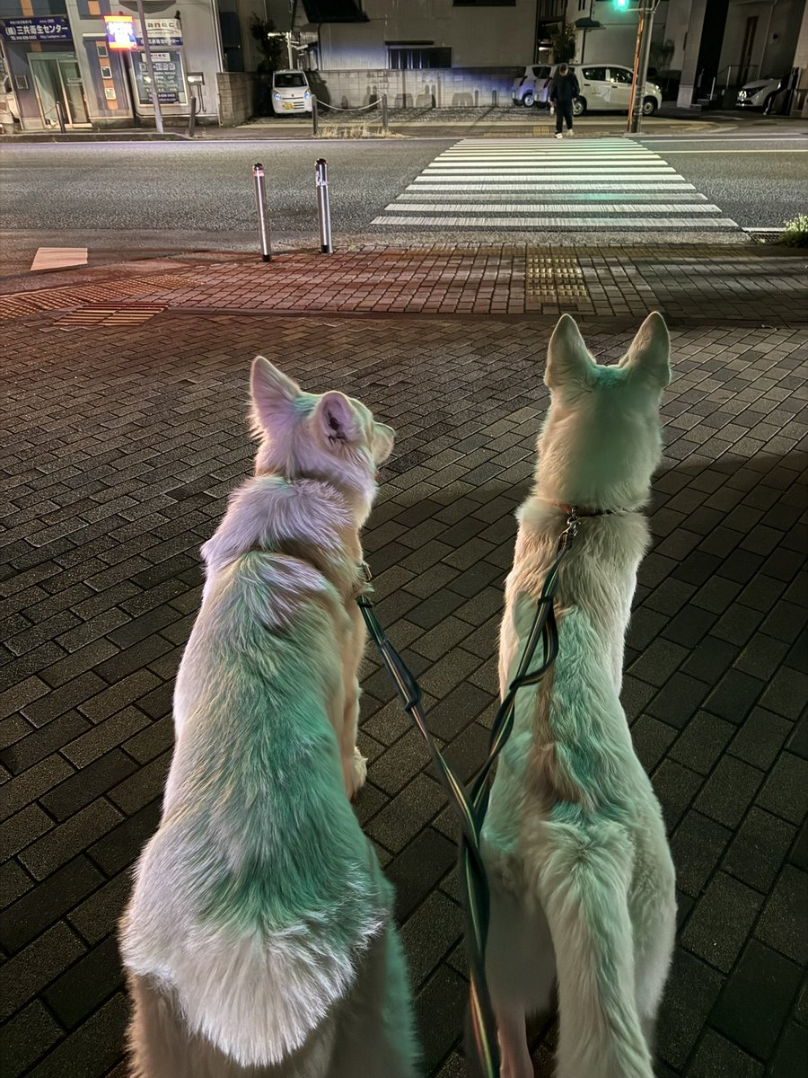 Kazu Tomita tweet media