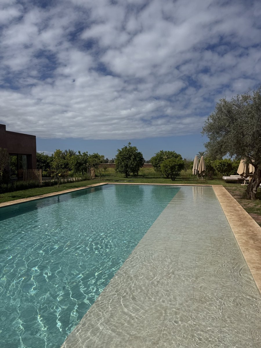 Alexander tweet media