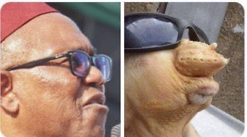 Teresematt tweet media