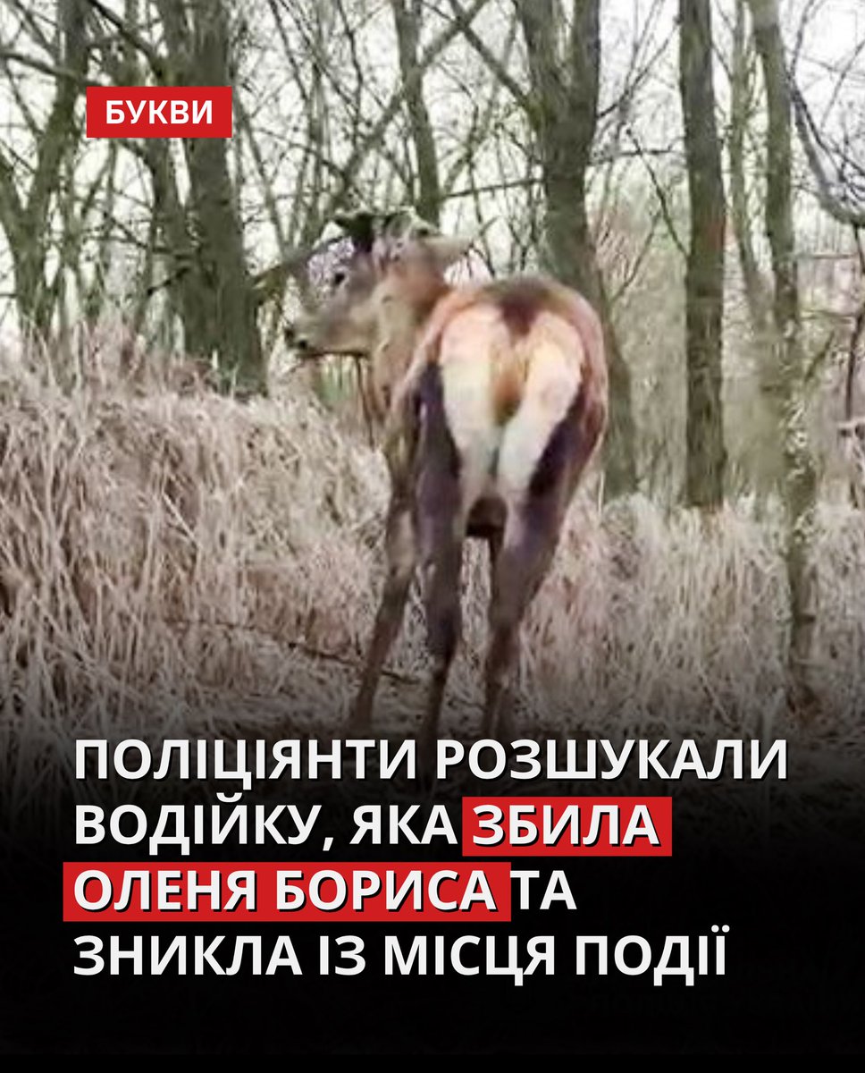 Букви tweet media