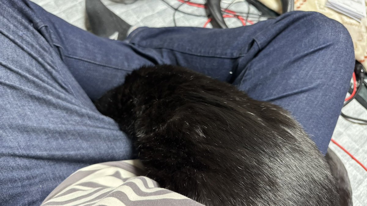 フレデリック tweet media