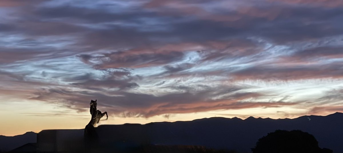 Gus Mally tweet media