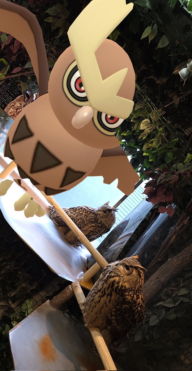 Doogs 𒉭 tweet media