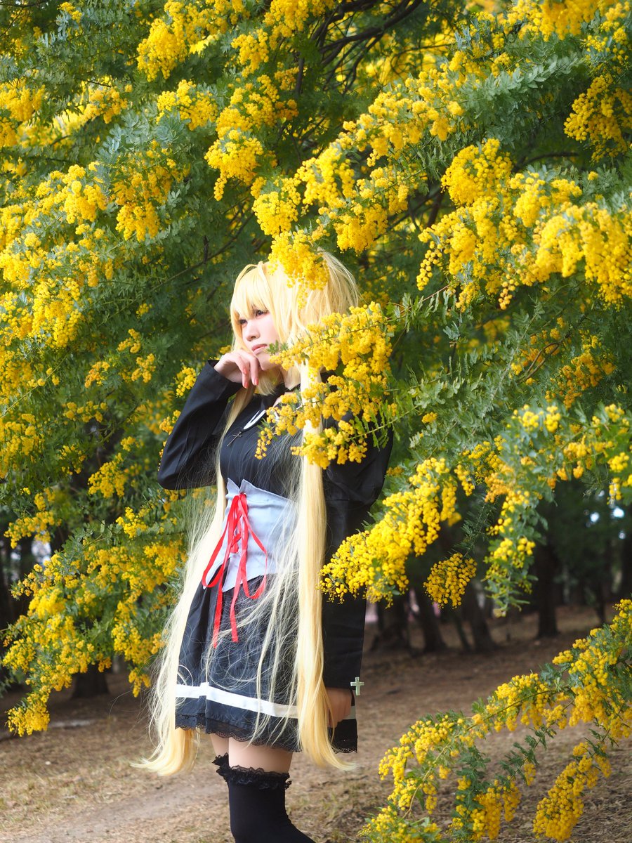 ❤️🦉あめり🦉❤️ tweet media