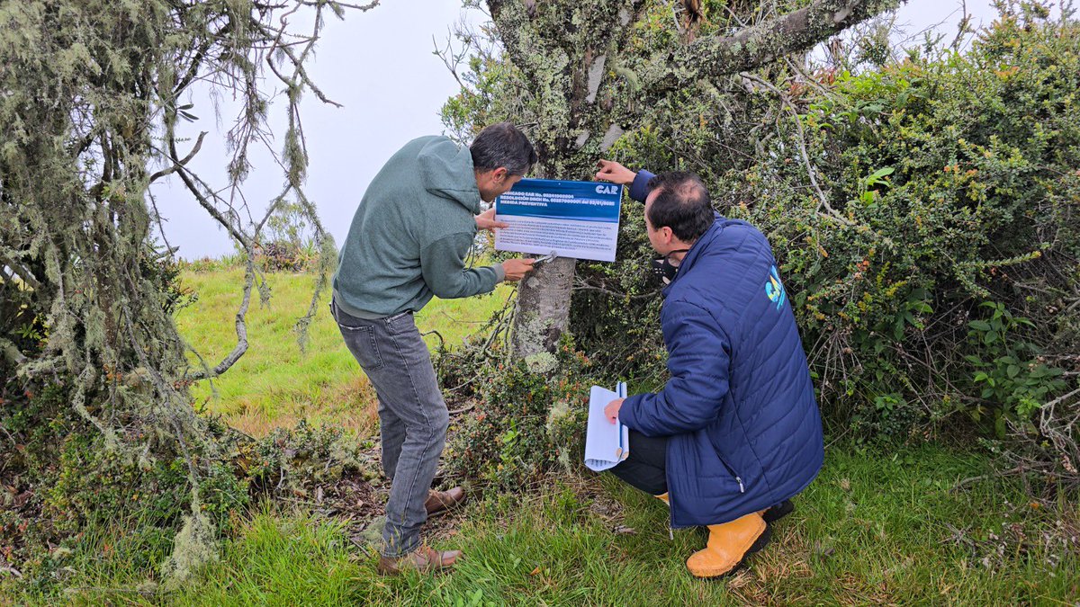 Alfred Ballesteros Alarcón tweet media