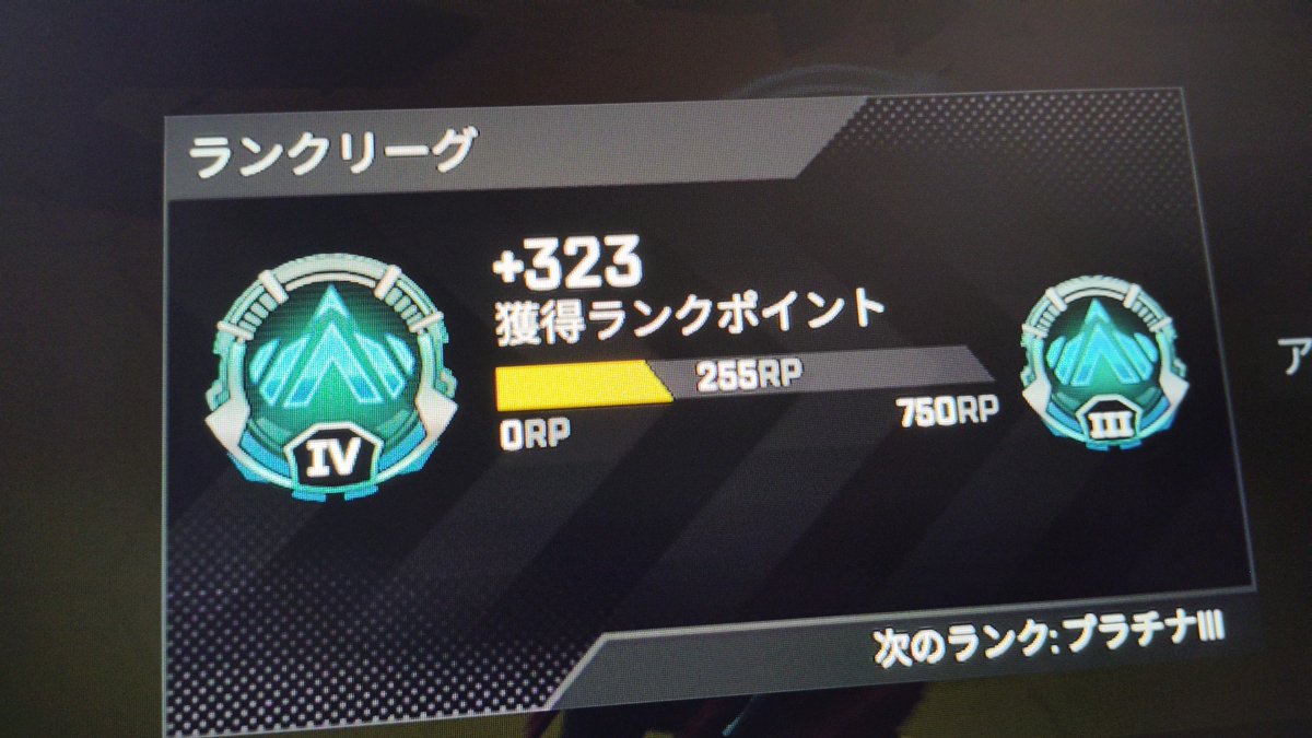 ざこいぬん⸒⸒⸒⸒ tweet media