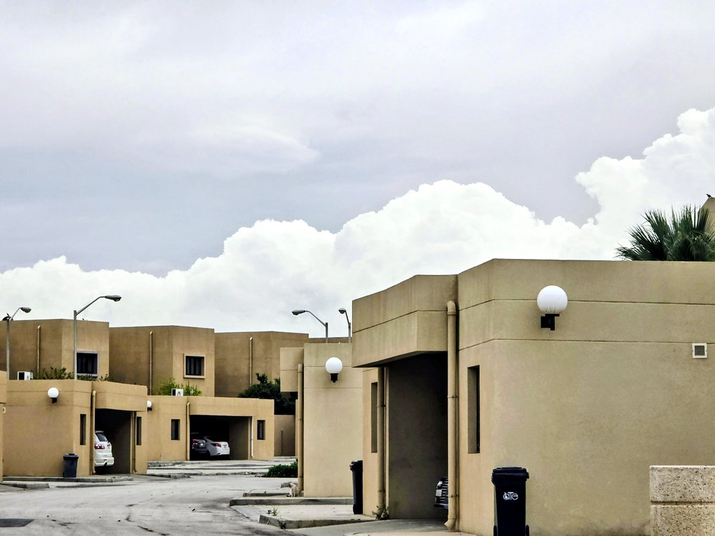 د. سعيد القرني tweet media