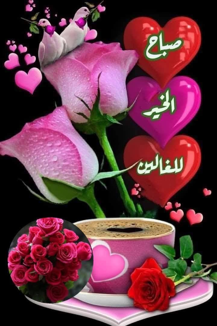 ياسر الدسوقى tweet media