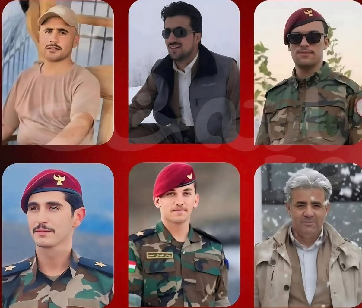 Fazel Hawramy tweet media