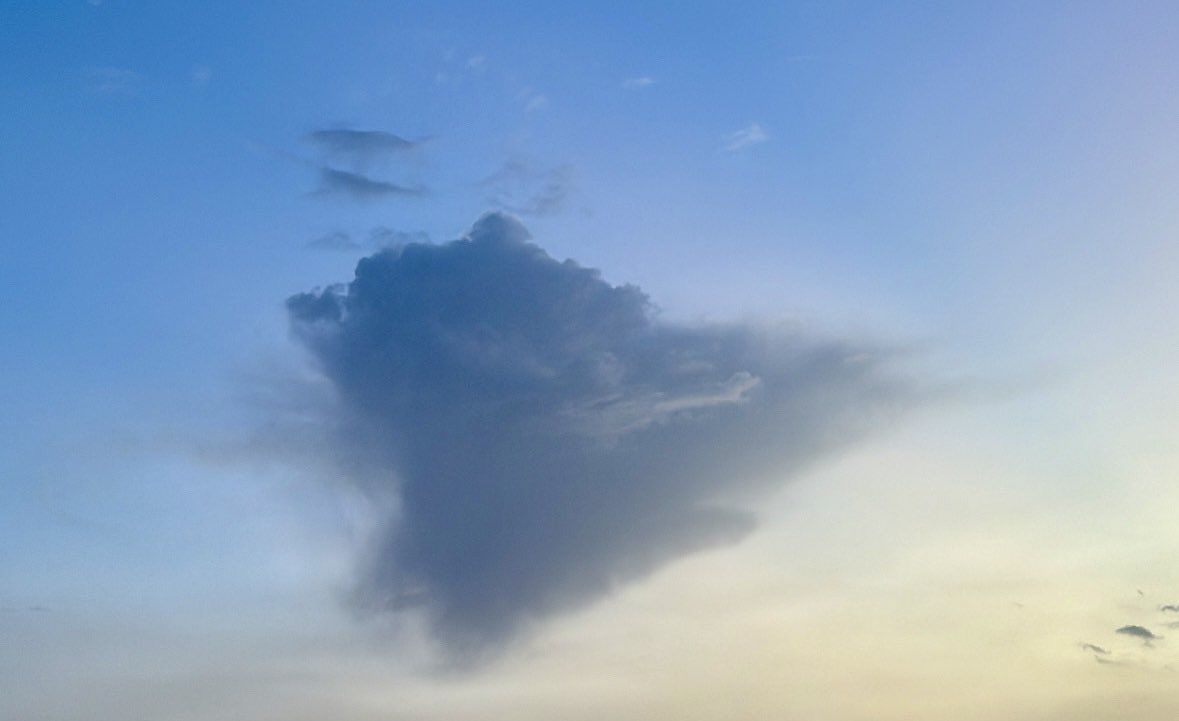 𝐌𝐐𝐑 tweet media