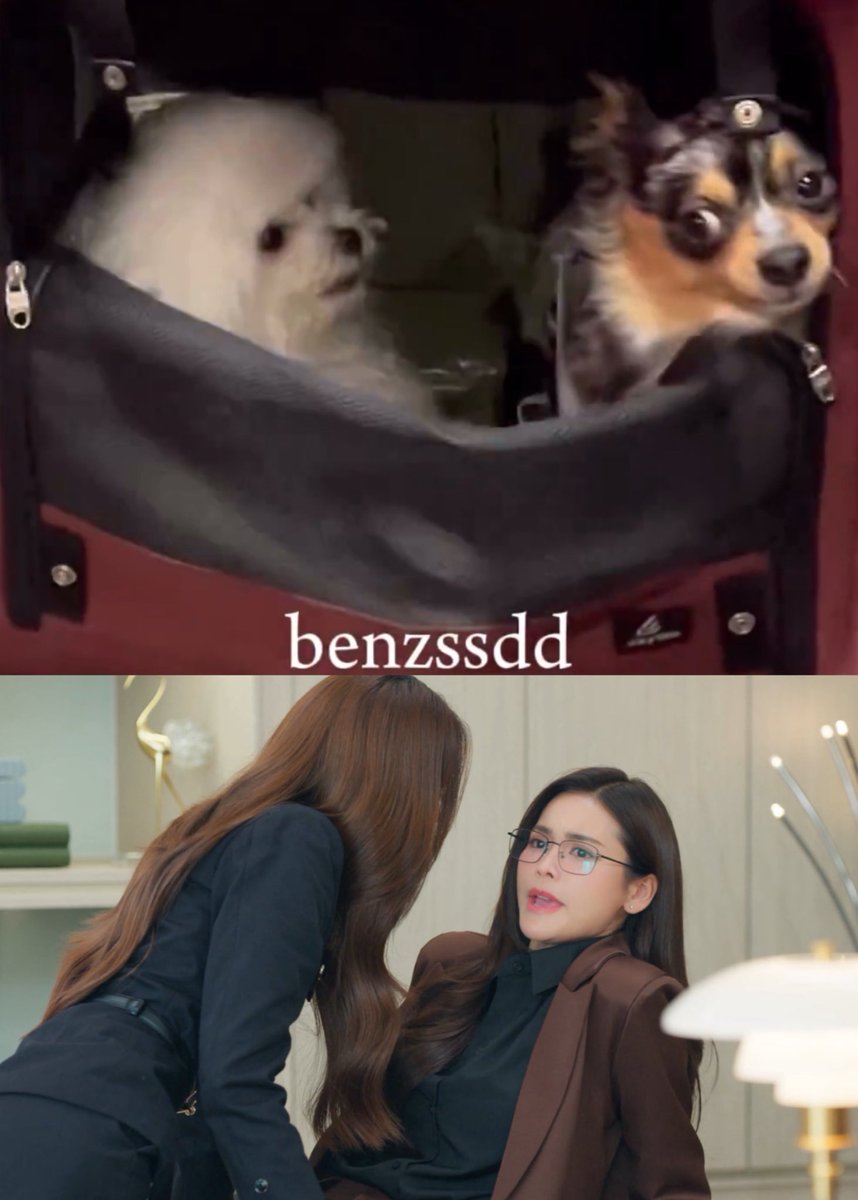 ARTW_1A🐶🐰🤍 tweet media