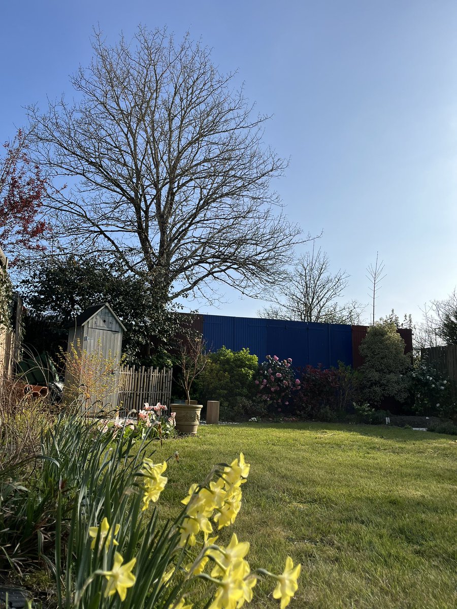 caignard etienne tweet media