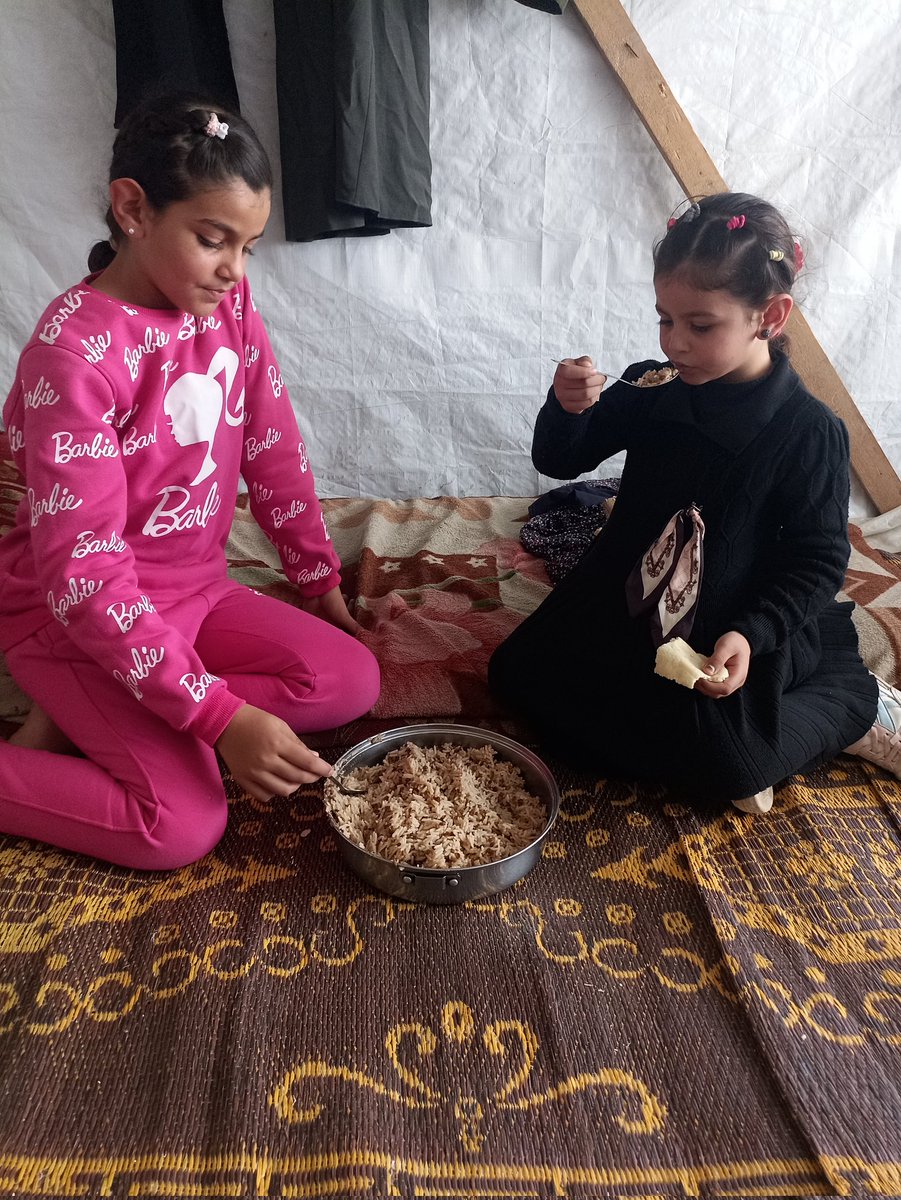 🇵🇸lana gaza tweet media