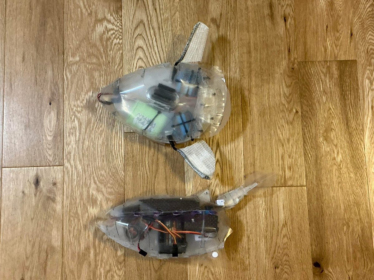 Robokaseki 化石をロボットにして泳がせる。⭐︎AFK研究所(同)⭐︎チームロボ化石！ tweet media