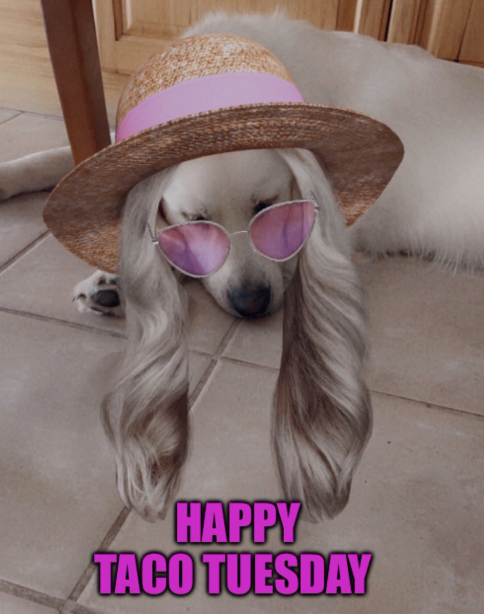 DK🇺🇸🦅🇺🇸 tweet media