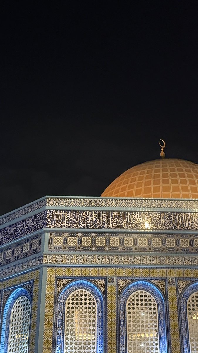 ———— tweet media