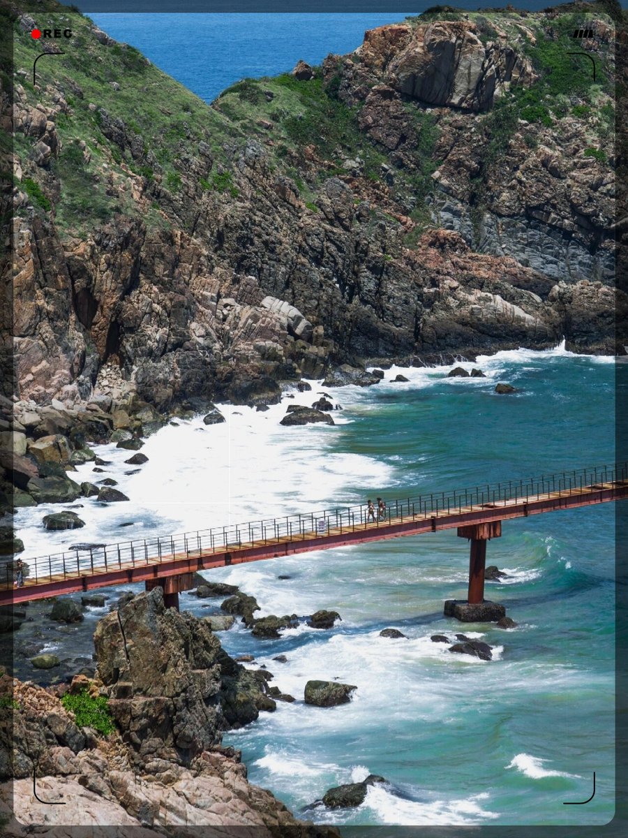 Wall Street Pepe | Official Announcements tweet media