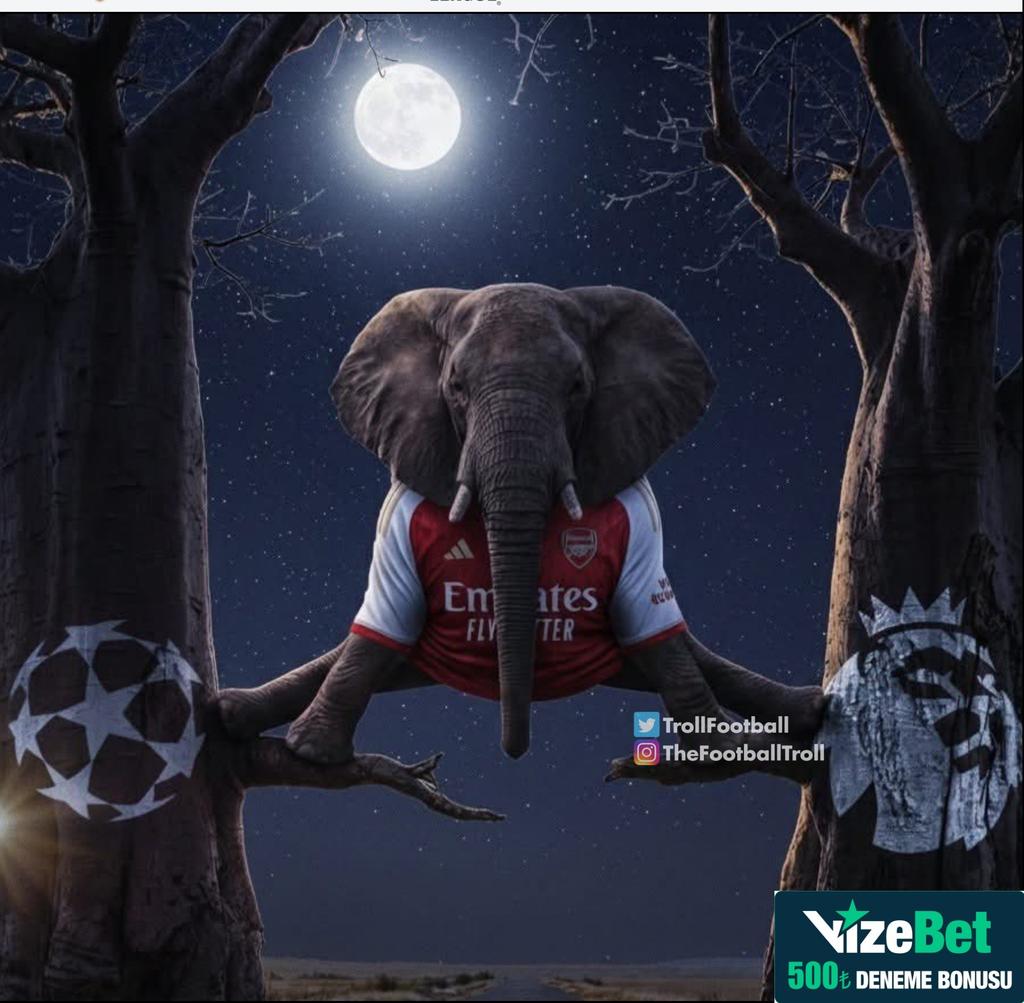 Liberty Bams tweet media