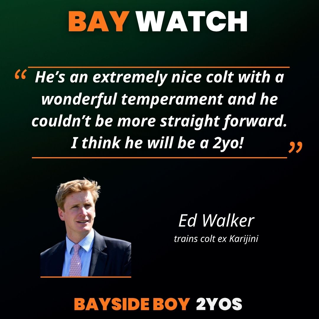 BallylinchStud tweet media