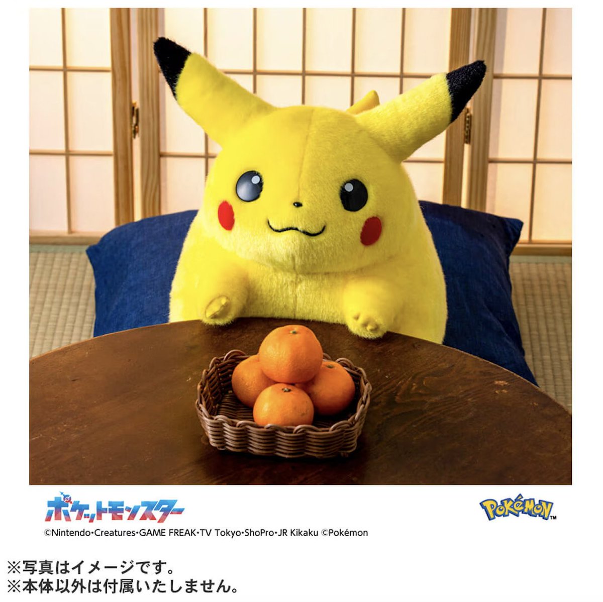 ぱんくま tweet media