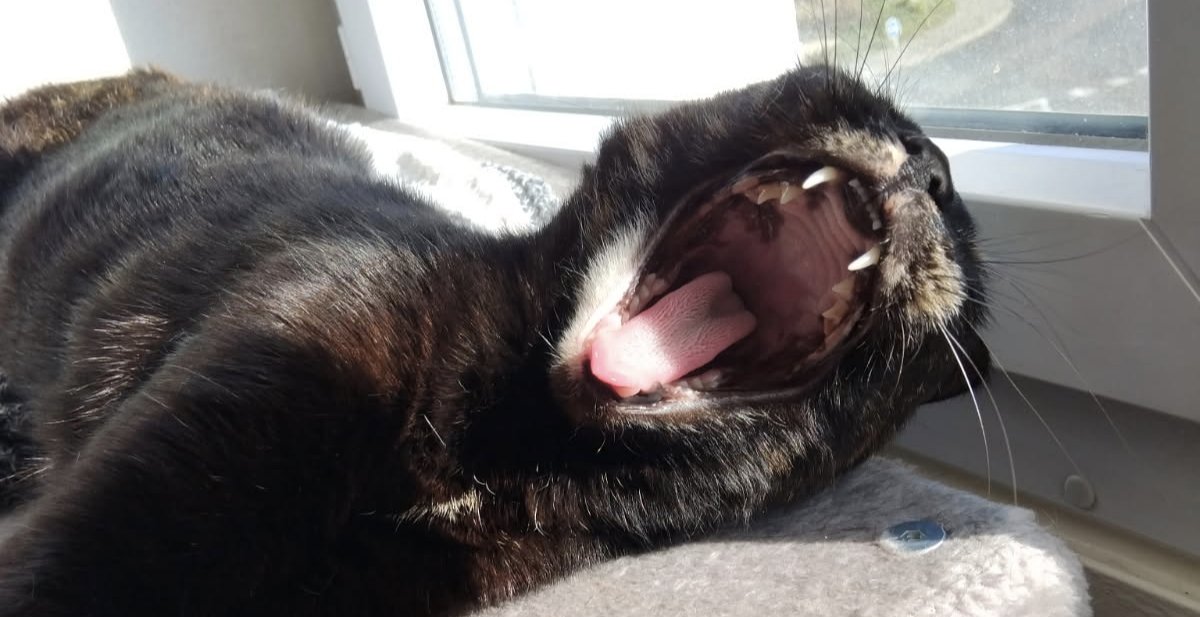 M8 Ryo ⭐ tweet media