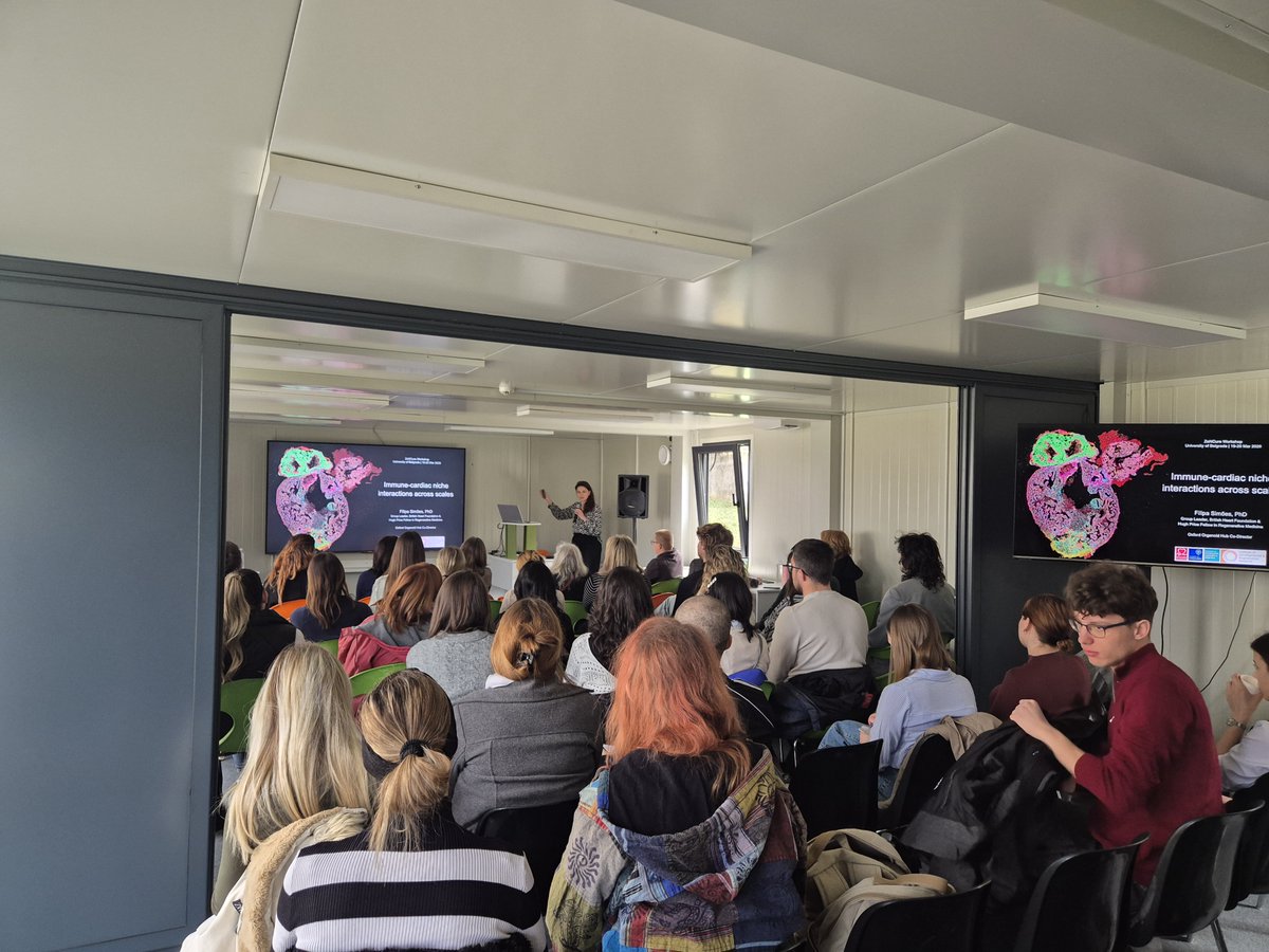 zencureproject's tweet photo. We had a fantastic time at our capacity building workshop “Innovative Approaches to Decoding Disease Mechanisms Using Zebrafish”! 🧬🐟

#ZeNCure #ZebrafishResearch #HorizonEurope @IMGGE https://t.co/zRZLW4yxHE
