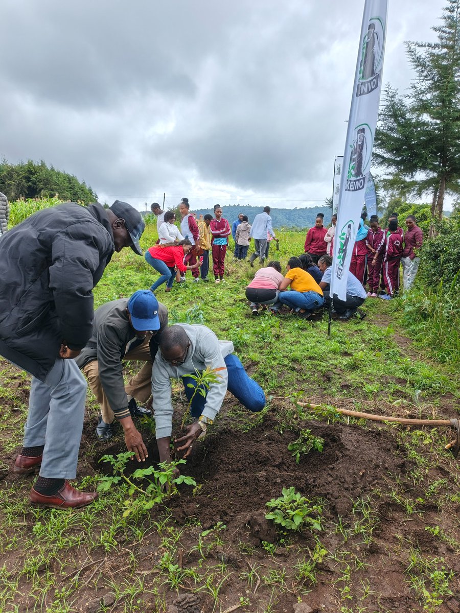 Kijabe Environmental Volunteers tweet media