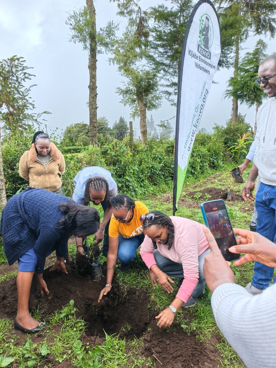 Kijabe Environmental Volunteers tweet media