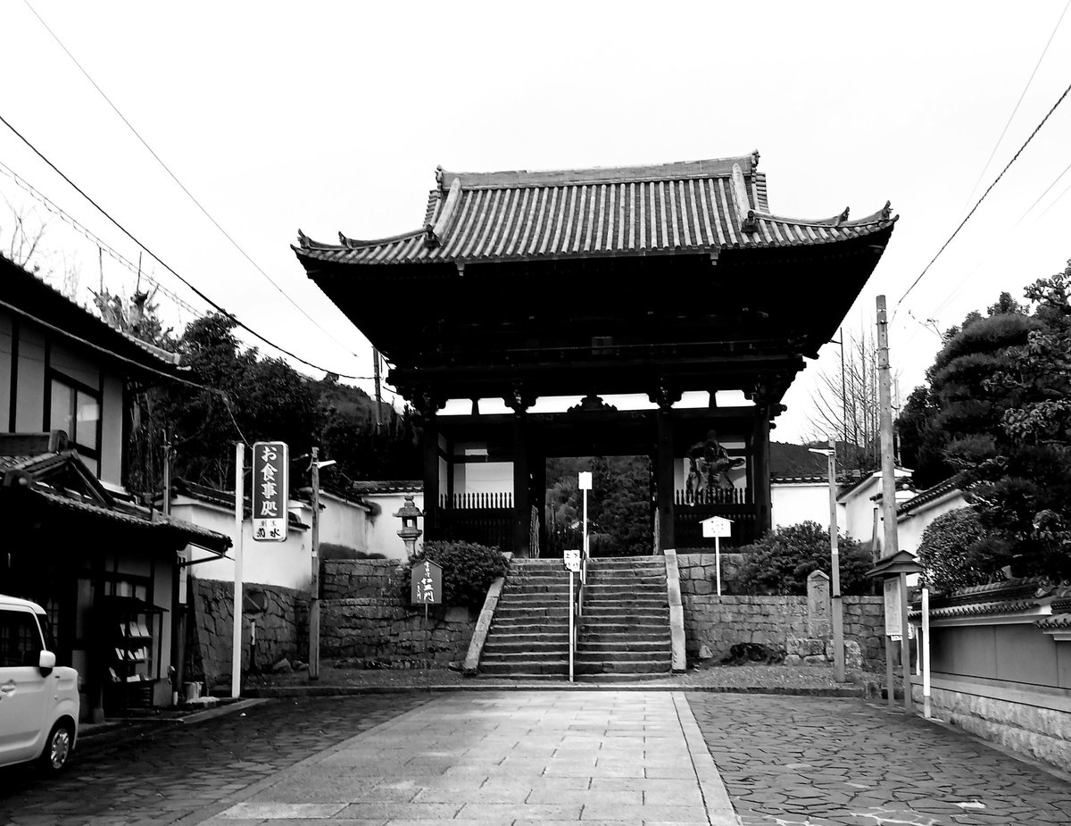 いなやん★ビアンキ✨ tweet media