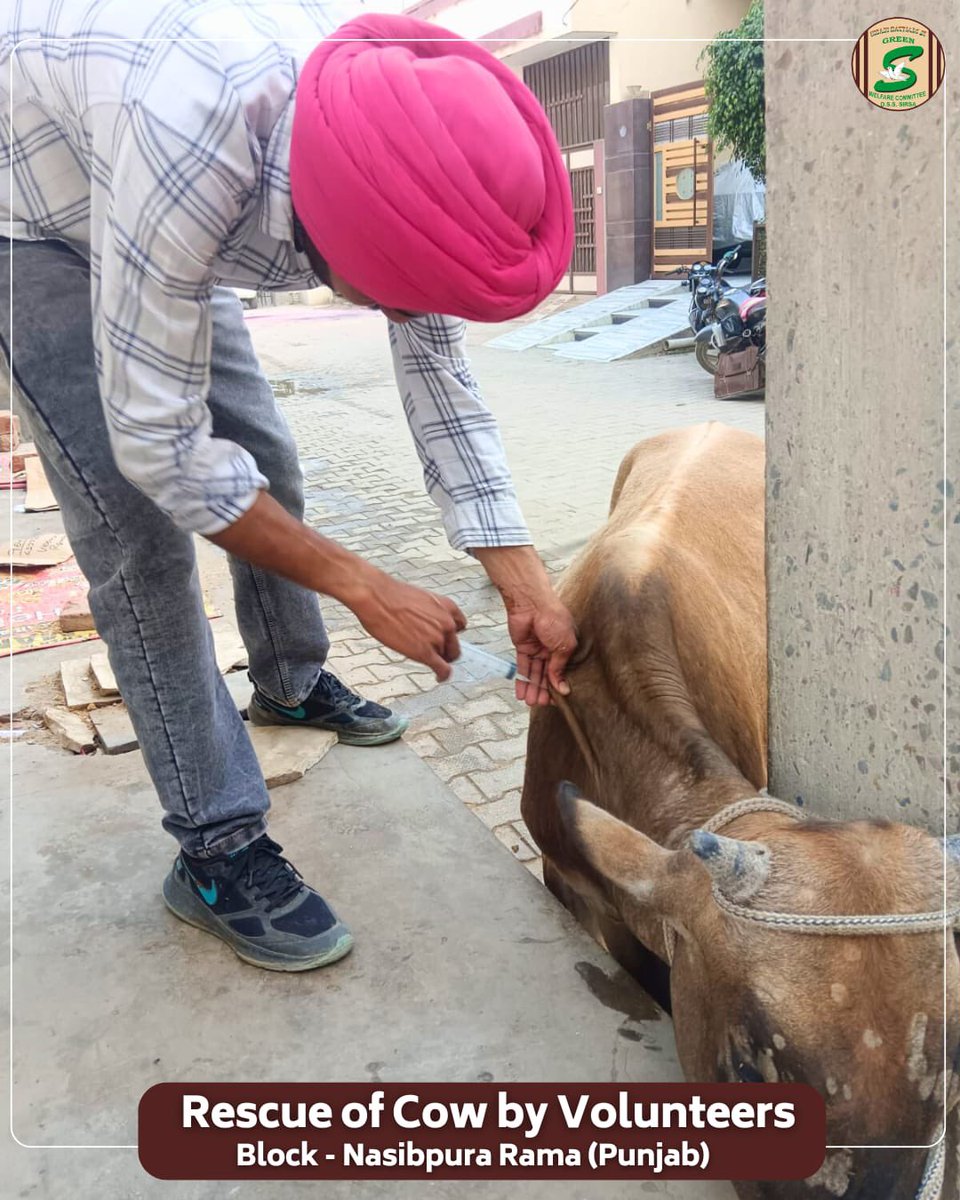 Shah Satnam Ji Green S Welfare Committee tweet media